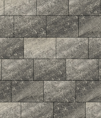 Тротуарная плитка Выбор Прямоугольник Листопад гладкий